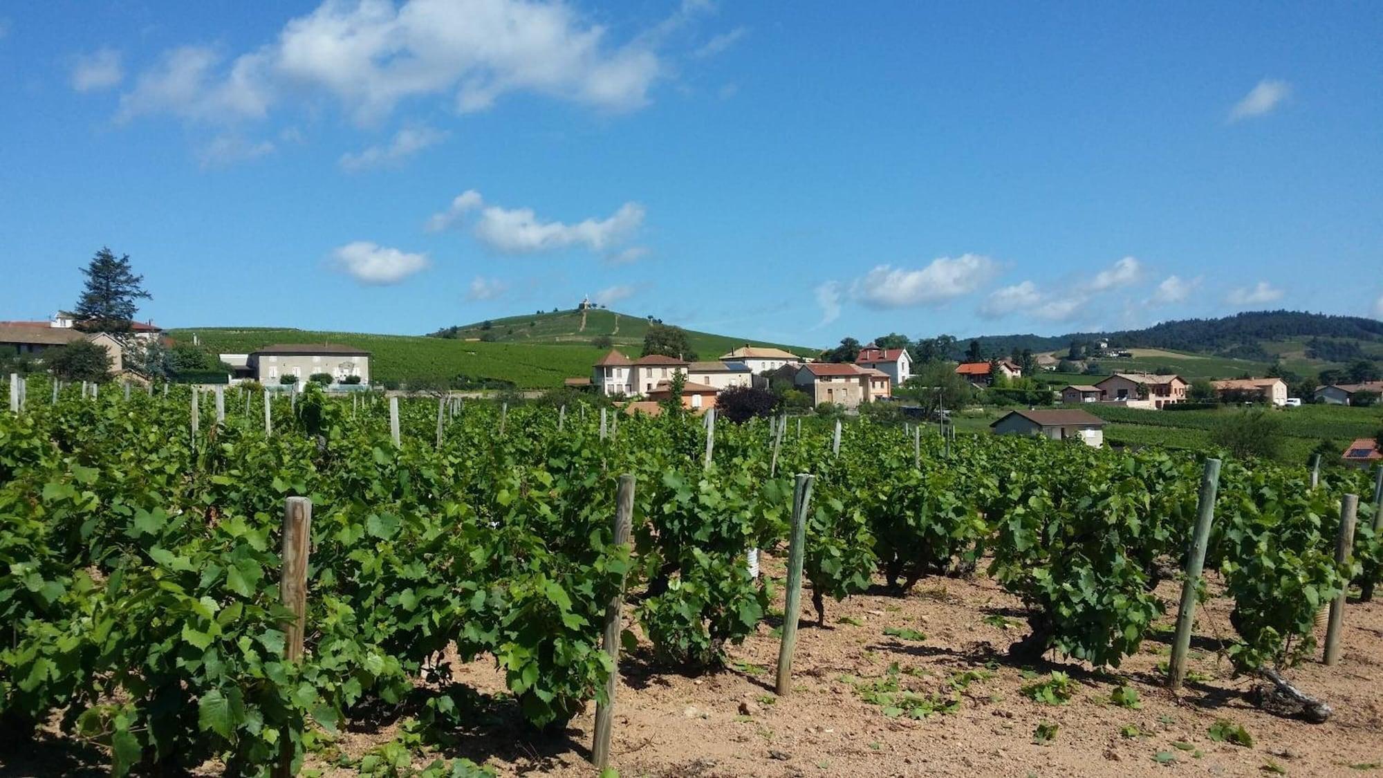 Logis Hotel Des Grands Vins Fleurie Εξωτερικό φωτογραφία