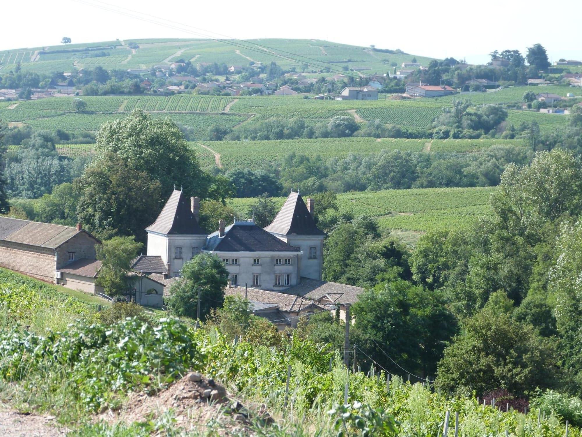 Logis Hotel Des Grands Vins Fleurie Εξωτερικό φωτογραφία