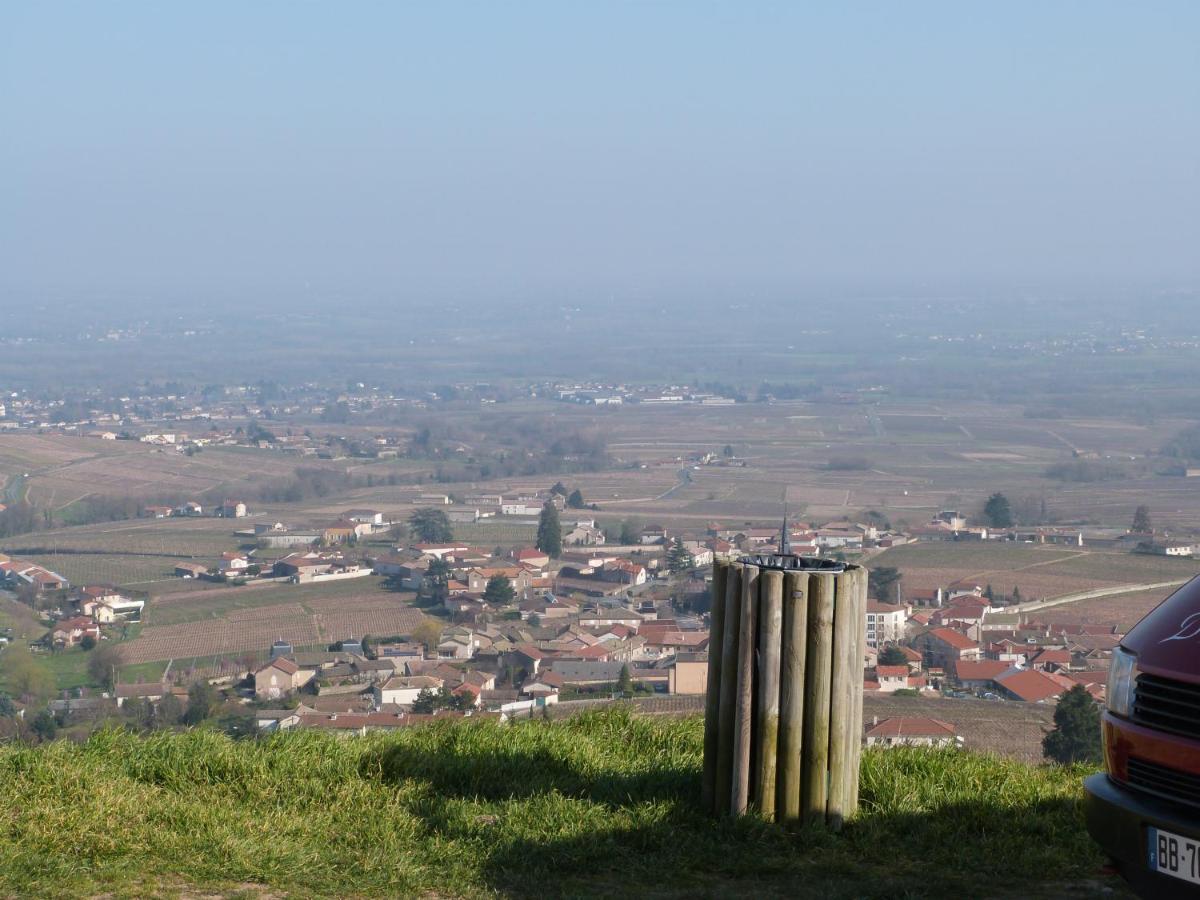 Logis Hotel Des Grands Vins Fleurie Εξωτερικό φωτογραφία